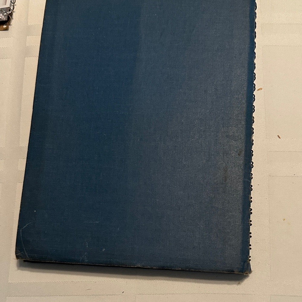 Vintage J. R. Watkins Blue Cook Book - Picture 11 of 11